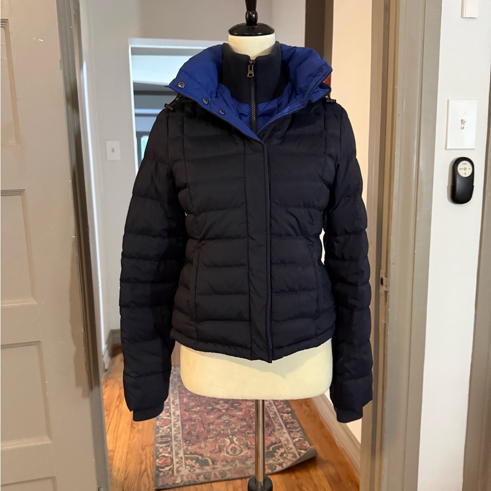 Last chance before donation Theory Black and Royal Blue Puffer Jacket